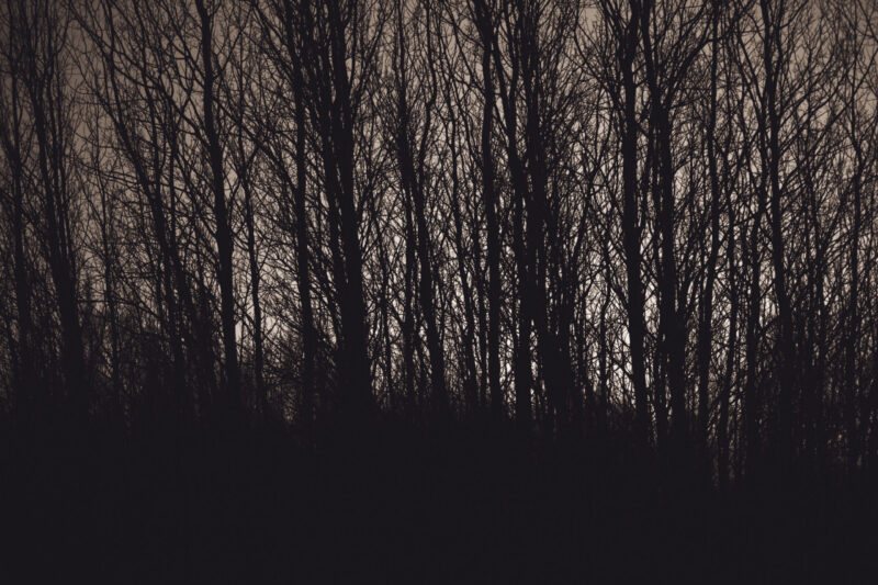 Abstract Nature Photography