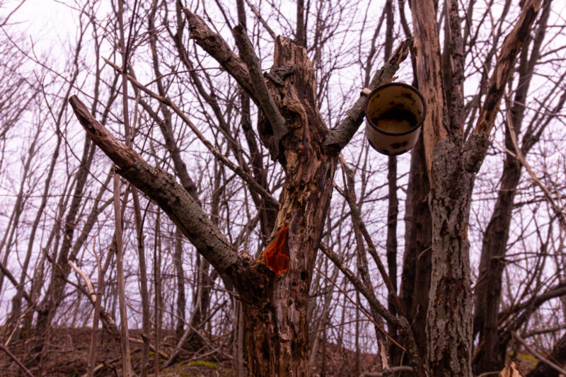 Paldiski Nature Photography