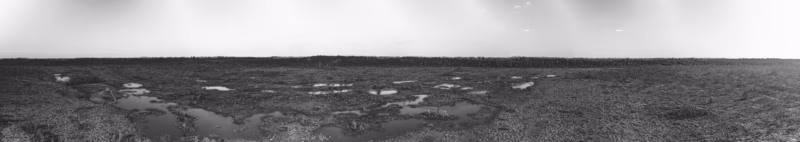 soomaa bogland drone arial photography