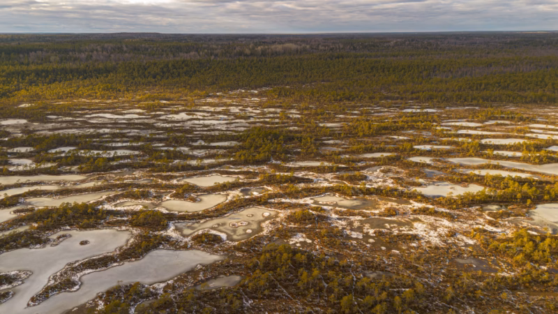 Nature Photography Loodusfotograafia bog soo Kakerdaja Raba