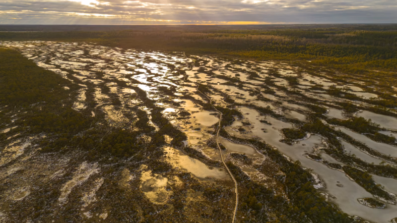 Nature Photography Loodusfotograafia bog soo Kakerdaja Raba