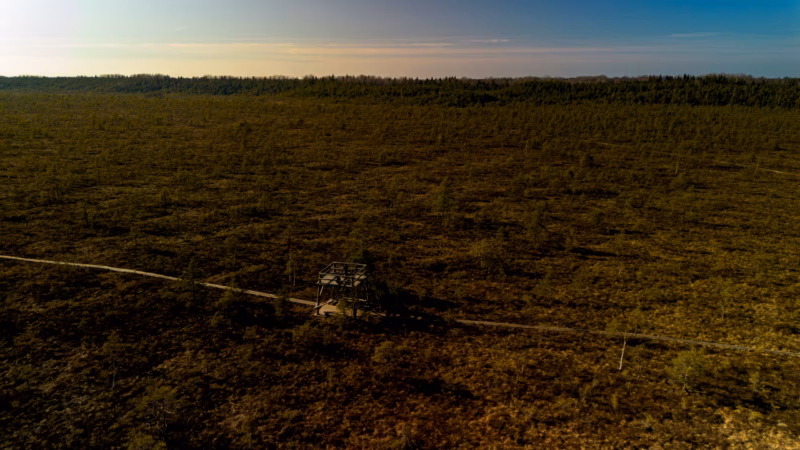 soomaa bogland drone arial photography