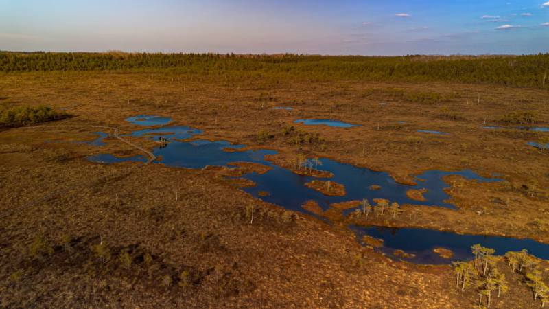 soomaa bogland drone arial photography