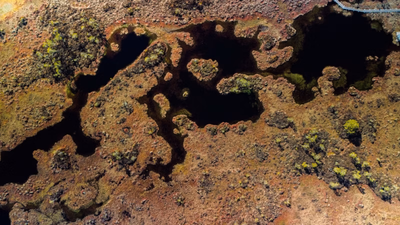 soomaa bogland drone arial photography