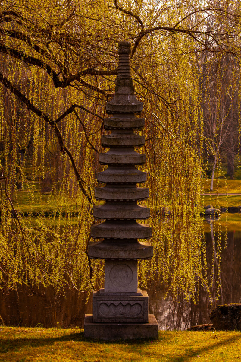 Japanese Garden Tallinn Jaapaniaed Loodusfotograafia Photography