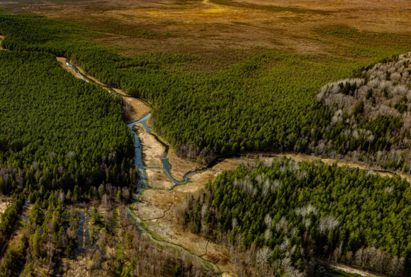 Drone photo of Estonian nature showing a winding river through dense forest, captured during a summer aerial photography session / Droonifoto Eesti loodusest, millel looklev jõgi voolab läbi tiheda metsa, jäädvustatud suvisel droonifotograafia sessioonil