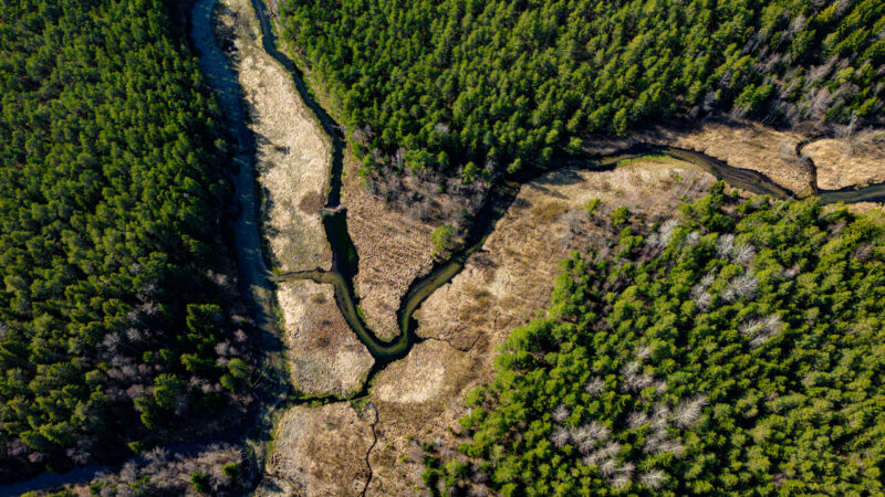 Drone photo of Estonian nature showing a winding river through dense forest, captured during a summer aerial photography session / Droonifoto Eesti loodusest, millel looklev jõgi voolab läbi tiheda metsa, jäädvustatud suvisel droonifotograafia sessioonil