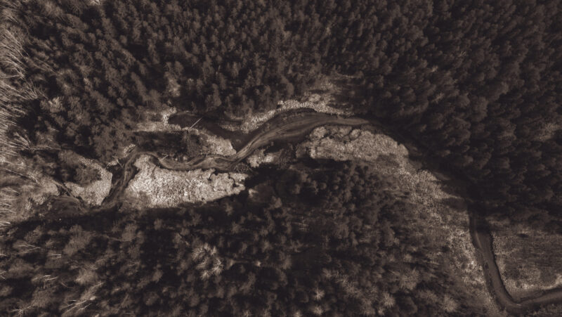 Drone photo of Estonian nature showing a winding river through dense forest, captured during a summer aerial photography session / Droonifoto Eesti loodusest, millel looklev jõgi voolab läbi tiheda metsa, jäädvustatud suvisel droonifotograafia sessioonil