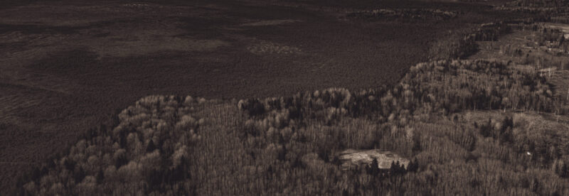 Drone photo of Estonian nature showing a winding river through dense forest, captured during a summer aerial photography session / Droonifoto Eesti loodusest, millel looklev jõgi voolab läbi tiheda metsa, jäädvustatud suvisel droonifotograafia sessioonil