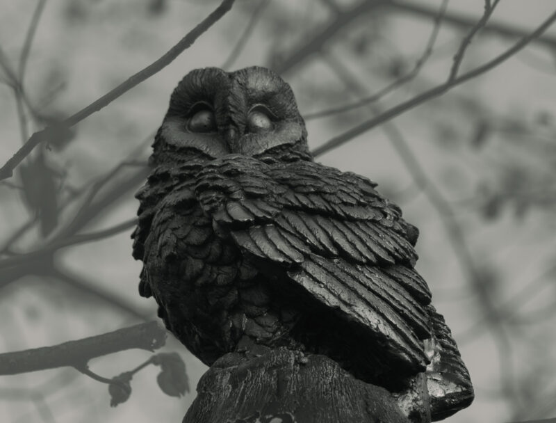 A beautifully detailed owl statue perched on a stone in a garden setting, captured in soft natural light / Kaunis detailne öökulli kuju, mis on kivile asetatud aias, jäädvustatud pehmes looduslikus valguses