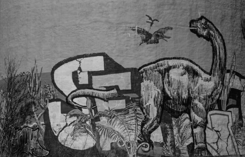 Black and white graffiti of dinosaurs on a wall / Mustvalge dinosauruste graffiti seinal