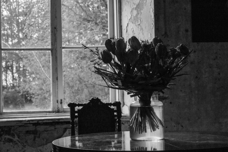 Flowers placed near a chair and window in an old manor, in black and white / Lilled tooli ja akna lähedal vanas mõisas, mustvalgel fotol