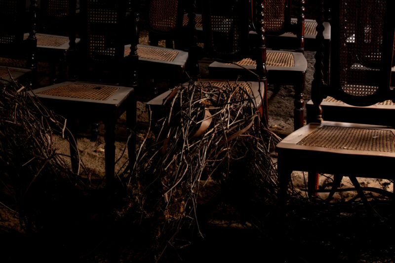 Rustic old chairs surrounded by branches in an abandoned mõis / Mõisahoonestunud vana toolide ja oksade rustikaalne kompositsioon