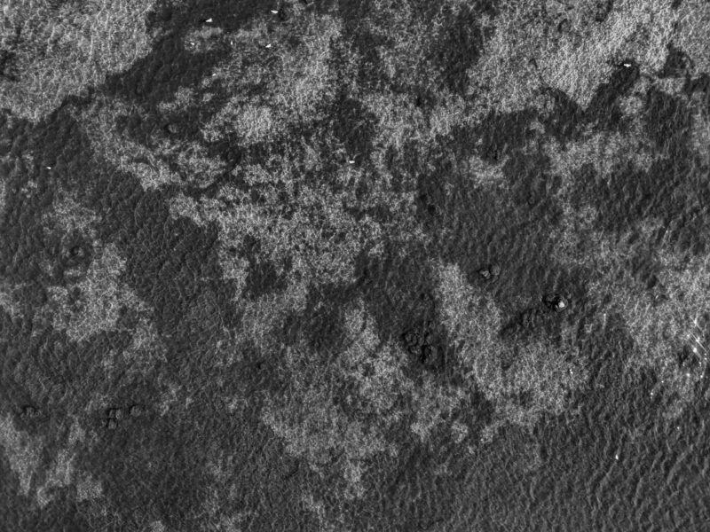 Black and white aerial drone photo showing shallow sea with abstract patterns / Mustvalge õhust tehtud droonifoto madalast merest abstraktsete mustritega