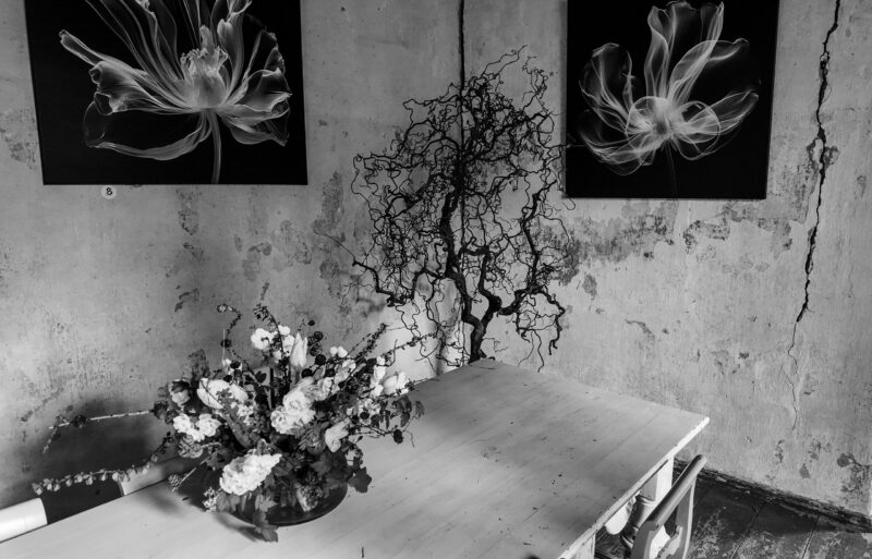 Laud lilledega vana mõisa ruumis / Table with flowers in an old mansion room
