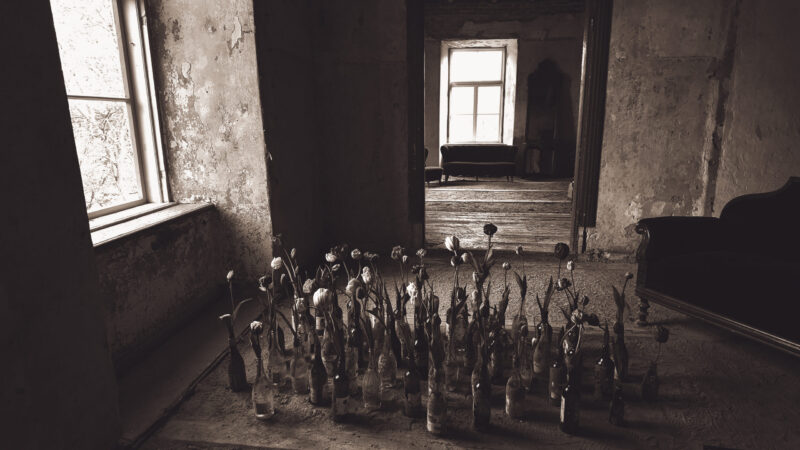 Tulbid vaasis vana mõisa toas / Tulips in a vase in an old mansion room