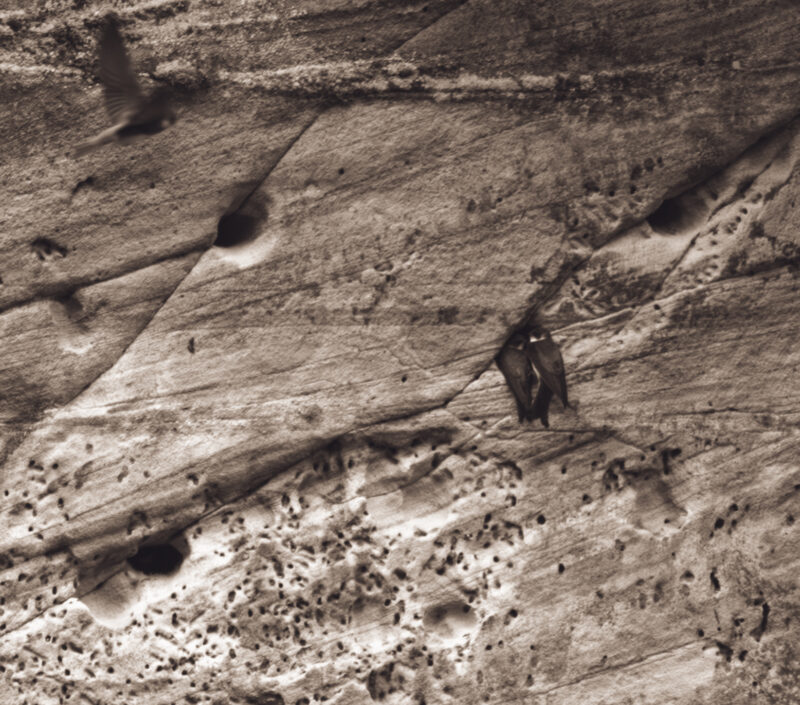 Sandstone cliffs of Suur and Väike Taevaskoda rising above the Ahja River in a lush Estonian forest