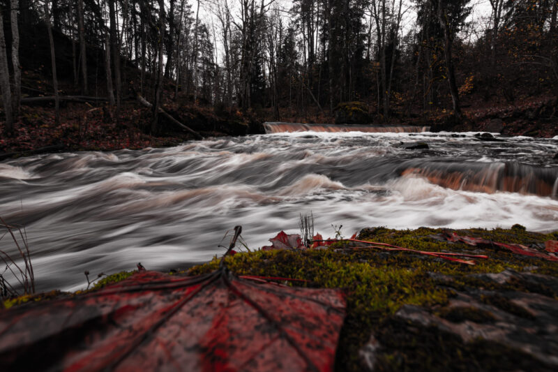 river in estonia